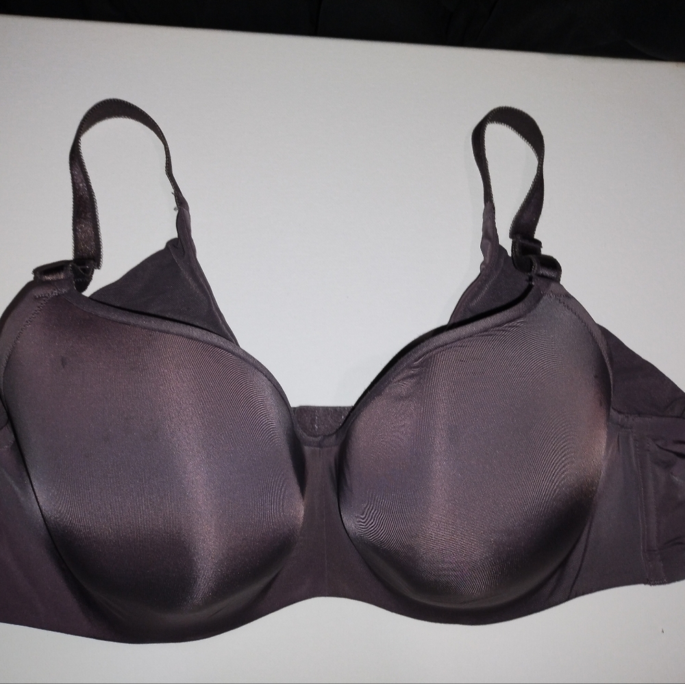 COPY - Torrid curves bra